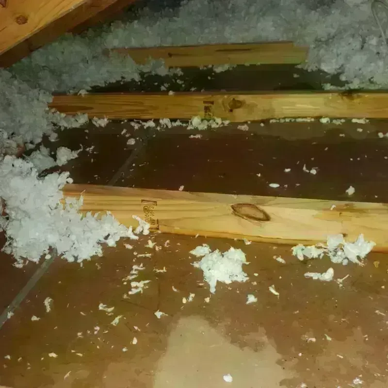 Attic Water Damage in Cuba City, WI